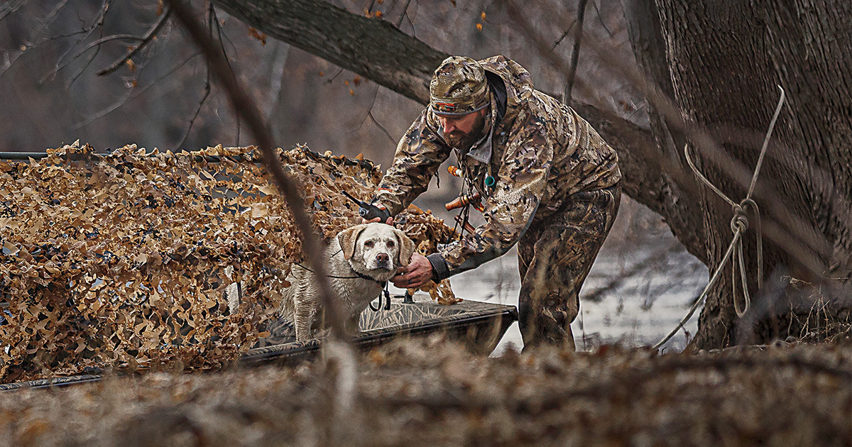 Retrievers lost dog best sale